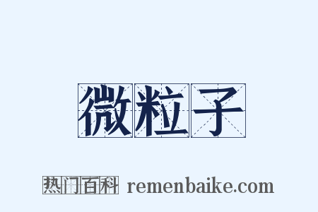 微粒子是什么意思的图片